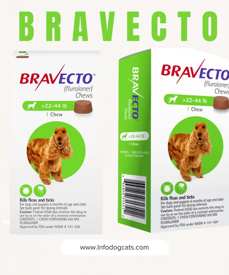 Bravecto Spot On for Cats reviews