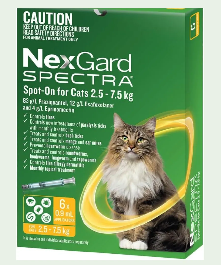 Best Flea Treatment for Cats in Australia 2026