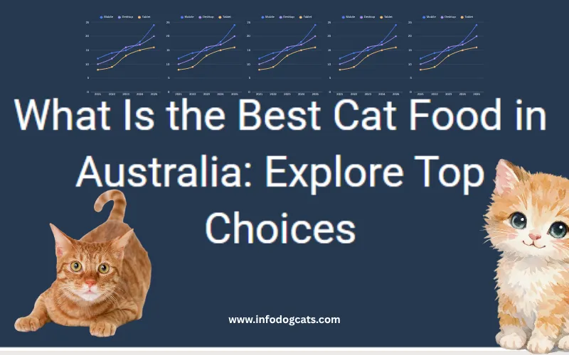Best cat food brands available in Australia Top 10 Amazing
