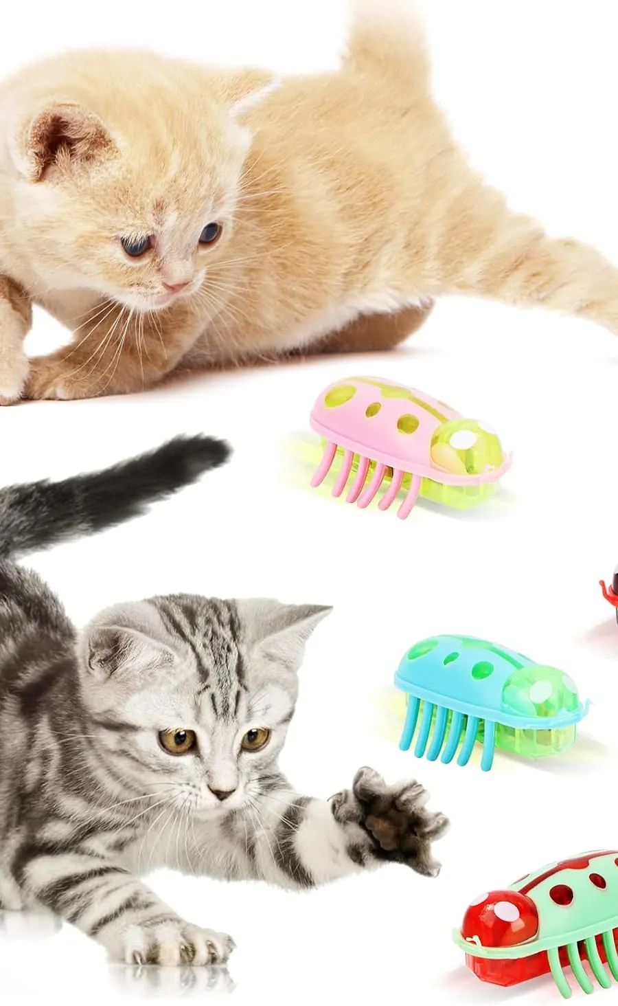 Cheap Cat Toys For Bored Indoor Cats Australia: 7 safe diy